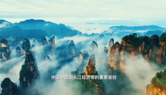  張家界被外交部全球推介，桑植白茶亮相冷餐招待會！ 