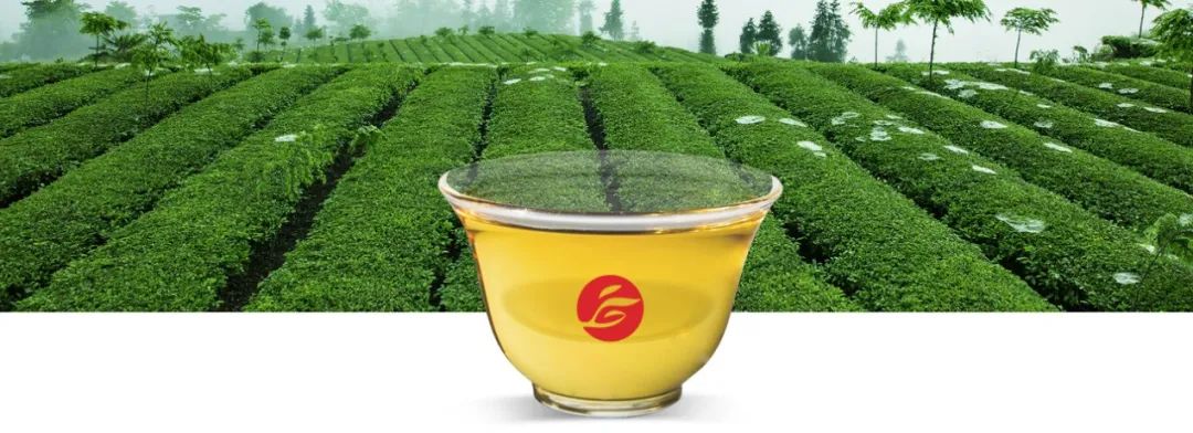 微信圖片_20221208095935.jpg 微信圖片_20221208095935.jpg