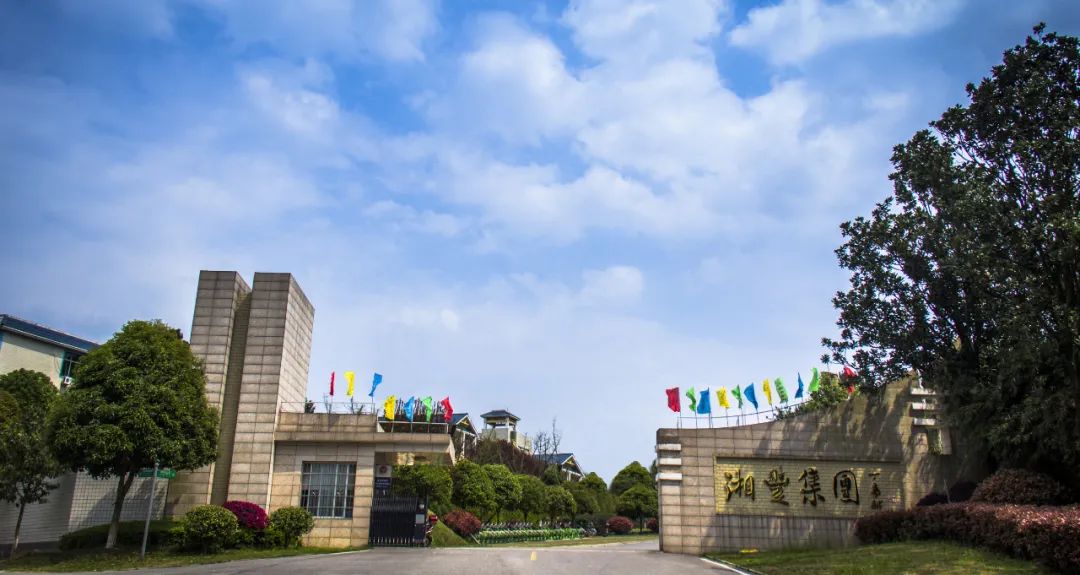 湘豐茶業(yè)集團獲認“2023年度農業(yè)農村信息化示范基地”！